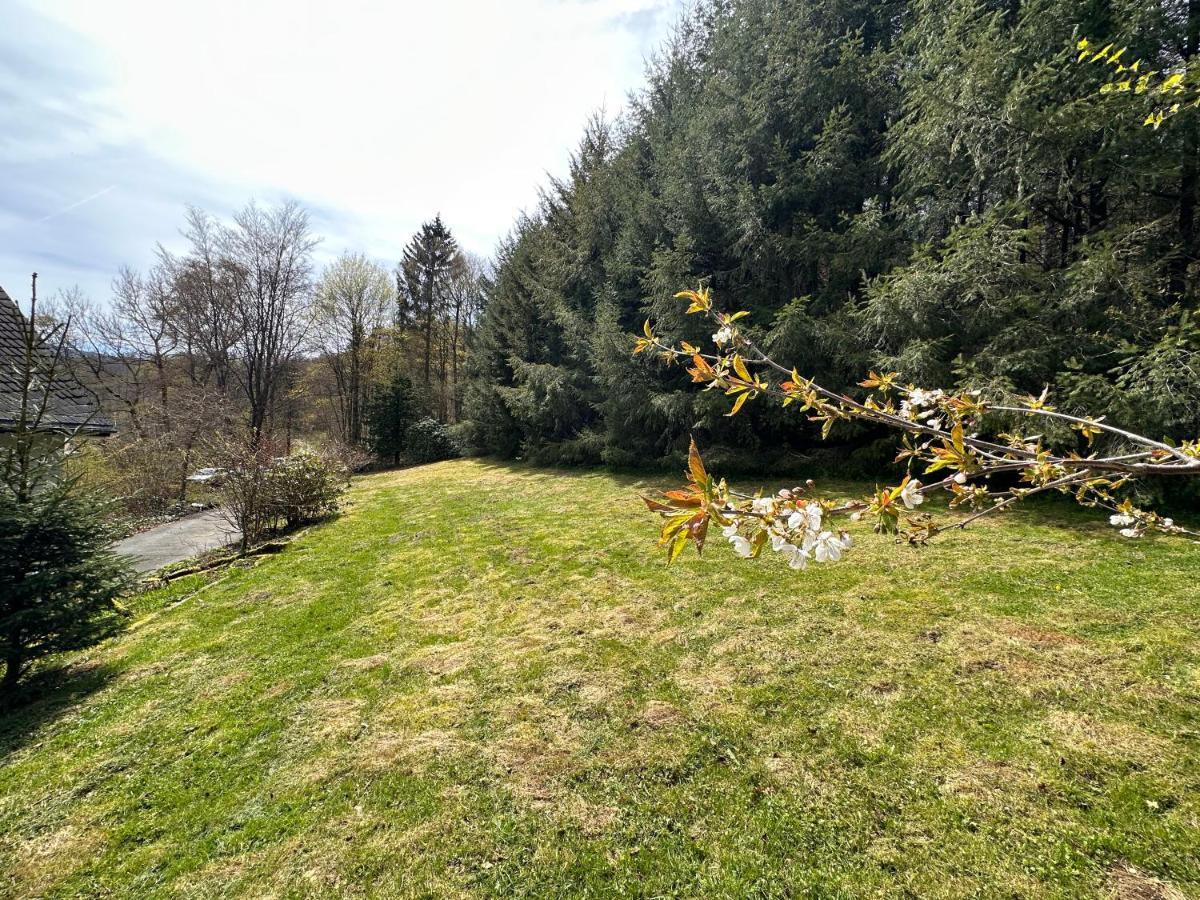Charming Villa On The Forest In Wald 12 Guests Hugh Garden Willingen Sauerland บรีโลน ภายนอก รูปภาพ