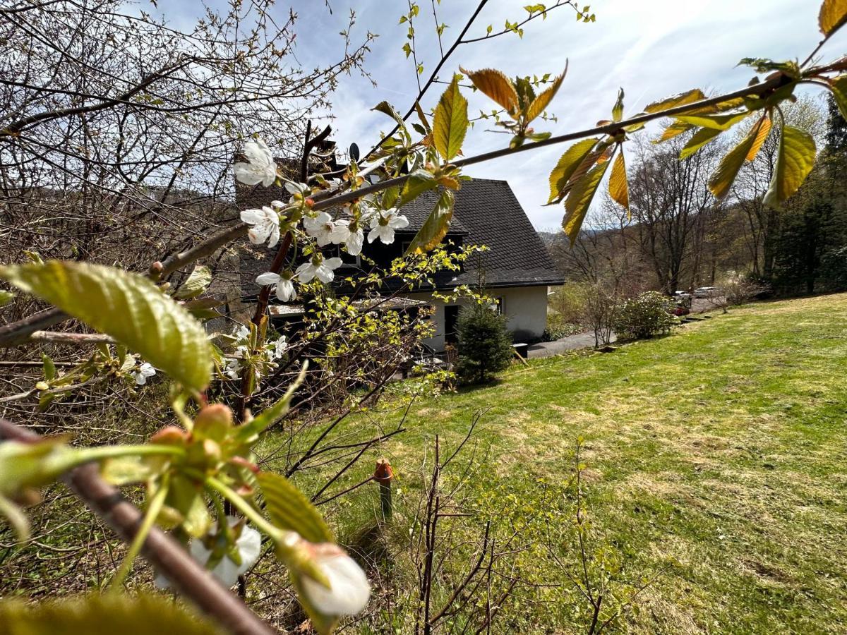 Charming Villa On The Forest In Wald 12 Guests Hugh Garden Willingen Sauerland บรีโลน ภายนอก รูปภาพ